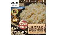 【定期便】【玄米】さがびより５kg×６回 B560