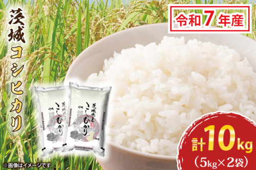 令和7年産 茨城 コシヒカリ 10kg (5kg×２袋) 新米 米 お米 おこめ 白米 ライス ご飯 精米 こしひかり 国産 茨城県産 672980 - 茨城県大洗町