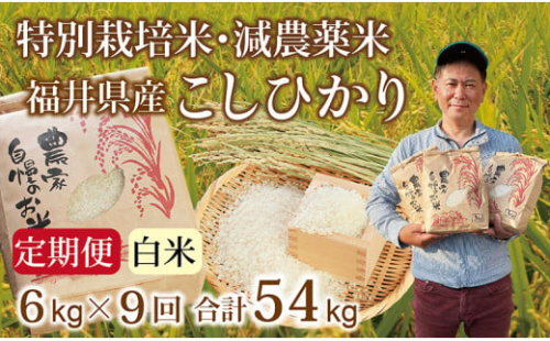 〈先行予約・新米〉【定期便９回】減農薬米 こしひかり 6kg(3kg×2袋) ／令和7年 福井県産 （白米）2025年10月発送 人気品種 少量サイズ便利