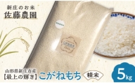 特別栽培米[最上の輝き]こがねもち 精米 5kg 米 お米 おこめ 山形県 新庄市