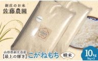 特別栽培米【最上の輝き】こがねもち 精米 5kg×2袋 米 お米 おこめ 山形県 新庄市 F3S-1644