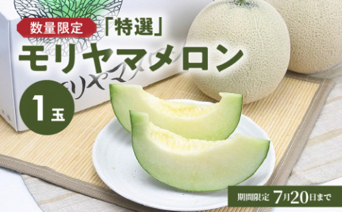 【数量限定】 【7月～8月中旬お届け】「特選」モリヤマメロン　１玉　