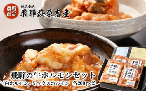 2種類を食べ比べ！飛騨の牛ホルモンセット 計800g（白ホルモン 200g×2・ミックスホルモン  200g×2）国産 牛肉 ブランド牛  和牛 BBQ バーベキュー 【冷凍配送】
