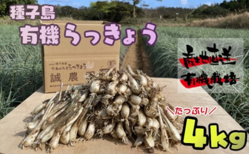 誠農園 たねがしま らっきょう （ 有機 JAS 根つき 生 らっきょう） 4kg　NFN490【700pt】 // 有機栽培 オーガニック 安心・安全 栄養価が高い 健康食材 甘酢 キムチ等の漬物 天ぷら 