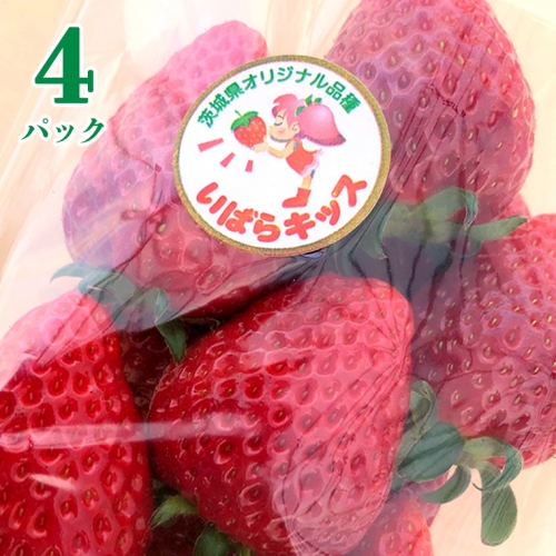 茨城県産 いちご 「 いばらキッス 」 4パック イチゴ 苺 果物 フルーツ 新鮮 旬 果実 673662 - 茨城県牛久市