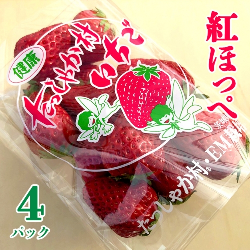 茨城県産 いちご 「 紅ほっぺ 」 4パック イチゴ 苺 果物 フルーツ 新鮮 旬 果実 673669 - 茨城県牛久市