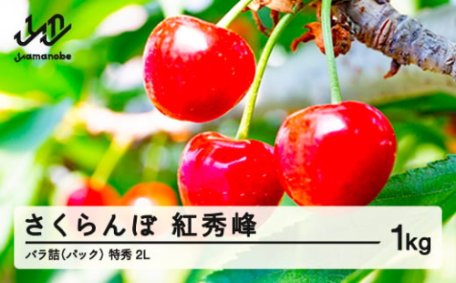 《先行予約》2025年 山形県産 さくらんぼ 紅秀峰 バラ詰（パック） 1kg 特秀 2L サクランボ フルーツ F21A-329
