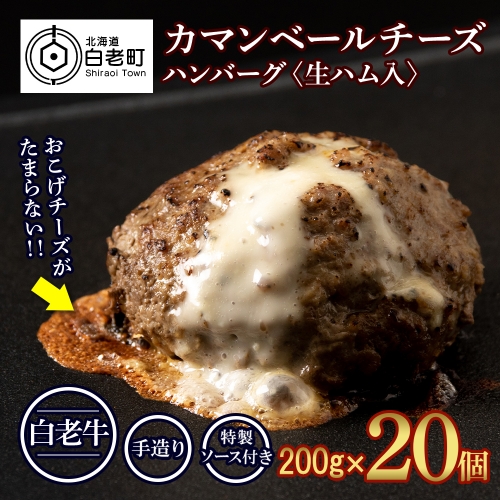 北海道産 白老牛 カマンベールチーズハンバーグ 20個セット 冷凍 チーズ イン ハンバーグ