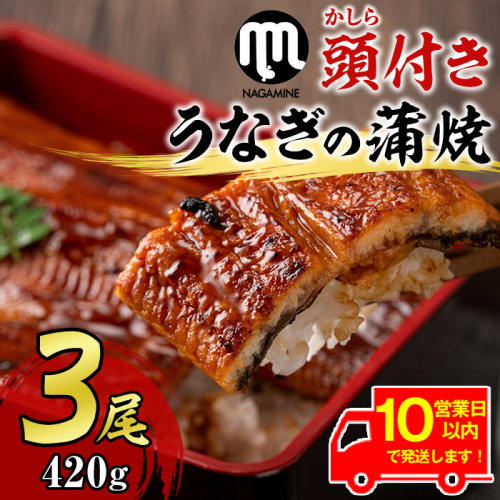 【18720】《10営業日以内に発送！》大隅産うなぎの蒲焼(計約420g・約140g×3尾・有頭)うなぎ 高級 ウナギ 鰻 国産 蒲焼 蒲焼き たれ 鹿児島【永峯うなぎ店】 67471 - 鹿児島県東串良町