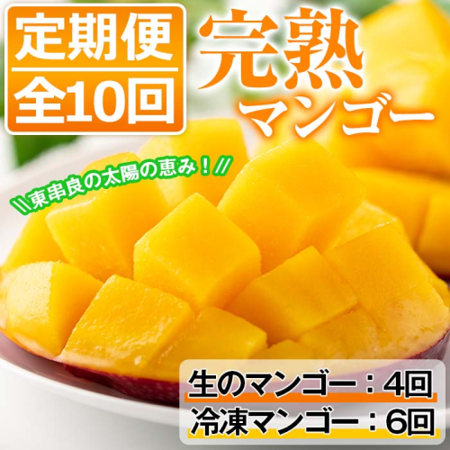 【130691】＜定期便・全10回＞鹿児島県産！南国の恵み！完熟マンゴー(1回のお届け1kg・2～3個入り)【甘宮】 67521 - 鹿児島県東串良町