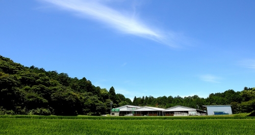 SS-46　松阪牛豪華しゃぶしゃぶ食べくらべセット