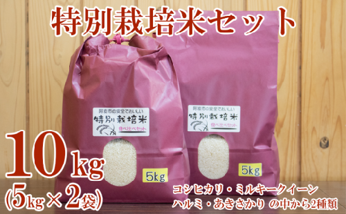 令和4年産 特別栽培米 食べ比べ セット 計10kg