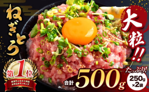 清幸丸水産 大人気！ねぎとろ500g（250g×2袋）