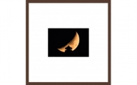 写真作品（スクエア仕様）「月と岐阜城No.11」写真家 小林淳撮影　額付き　サイン証明書付　風景　高級