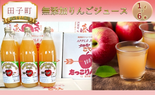田子の無添加りんごジュース1L×6本 長畝正幸さん生産直送