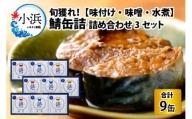旬獲れ 鯖缶詰　3ヶ詰め合わせ(味付・味噌・水煮)×3セット