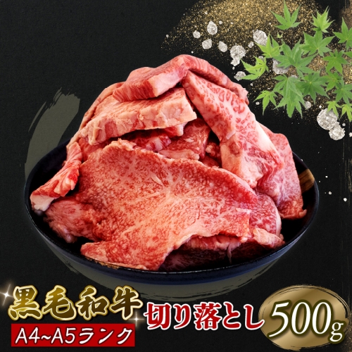 焼肉 切り落とし 牛肉 500g 黒毛和牛 ブランド牛 冷凍 10000円 1万円 人気急上昇
