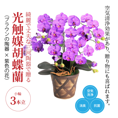 綺麗で丈夫な三河陶器で贈る光触媒胡蝶蘭小輪３本立（ブラウンの陶器×紫色の花）　H100-087 675616 - 愛知県碧南市