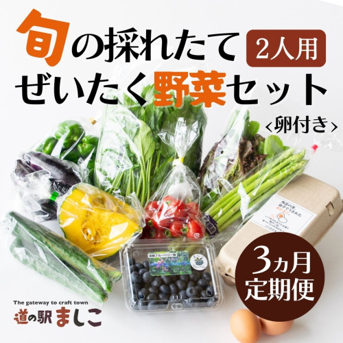 ＜3ヶ月定期便＞旬の採れたてぜいたく野菜セット（卵付き）2人用 益子町 ふるさと納税 やさい 野菜 セット 旬 野菜 採れたて(AA002) 675881 - 栃木県益子町