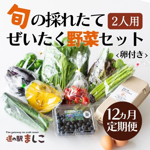 AA035＜12か月定期便＞旬の採れたてぜいたく野菜セット（卵付き）2人用 675883 - 栃木県益子町