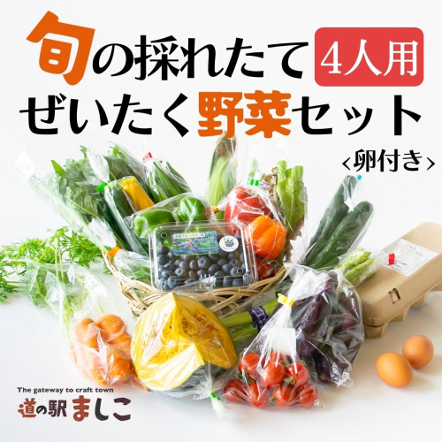 旬の採れたてぜいたく野菜セット（卵付き）4人用 益子町 ふるさと納税 野菜 やさい 野菜セット セット 卵 たまご 旬野菜 定期便(AA005) 675884 - 栃木県益子町