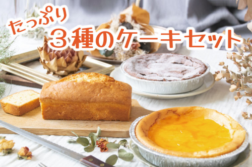たっぷり3種ケーキ｜栃木県 益子町 ふるさと納税 ケーキ 3種 スイーツ セット チーズケーキ ガトーショコラ パウンドケーキ（AR002） 675908 - 栃木県益子町