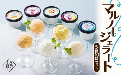 【マルノー山形】マルノージェラート 5種10個セット アイス アイスクリーム  F2Y-5439