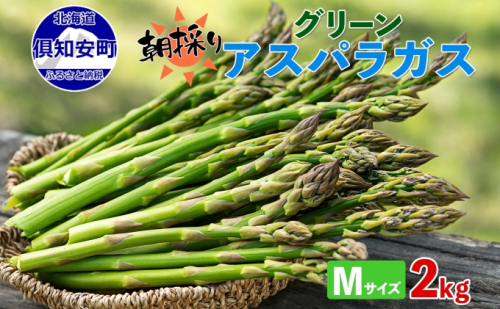 北海道 アスパラガス グリーン 2kg セット Mサイズ 春 限定 旬 朝採り 新鮮 野菜 アスパラ ギフト gift 産地直送 産直 お取り寄せ 詰め合わせ 送料無料 倶知安町 旬の食材 春野菜 柔らかい 食べ物 国産  676396 - 北海道倶知安町