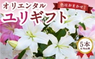 P684-05 後藤花卉園 オリエンタルユリ 5月お届け