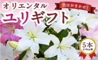 P684-06 後藤花卉園 オリエンタルユリ 6月お届け