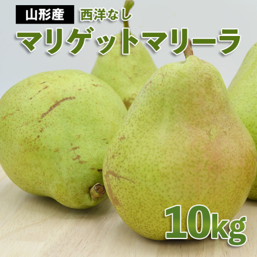 山形市産 西洋なし(マリゲットマリーラ) 秀 10kg(5kg×2) 14玉～30玉【令和8年産先行予約】FS24-585 676837 - 山形県山形市