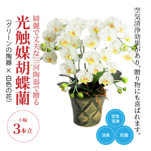 綺麗で丈夫な三河陶器で贈る光触媒胡蝶蘭小輪３本立（グリーンの陶器×白色の花）　H100-088 676860 - 愛知県碧南市