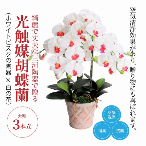 綺麗で丈夫な三河陶器で贈る光触媒胡蝶蘭大輪３本立（ホワイトビスクの陶器×白の花）　H100-091 676864 - 愛知県碧南市