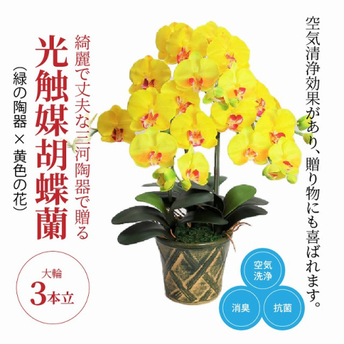 綺麗で丈夫な三河陶器で贈る光触媒胡蝶蘭大輪３本立（緑の陶器×黄色の花）　H100-093 676866 - 愛知県碧南市