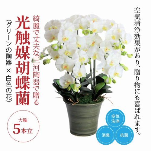 綺麗で丈夫な三河陶器で贈る光触媒胡蝶蘭大輪５本立（グリーンの陶器×白色の花）　H100-094 676867 - 愛知県碧南市