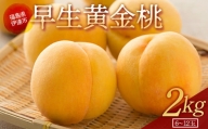 福島県産 早生黄金桃 2kg 2024年7月上旬～2024年7月中旬発送 先行予約 予約 伊達の桃 柔らかい 桃 もも モモ 果物 くだもの フルーツ 国産 食品 F20C-690