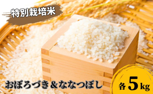 北海道 日高【田中農園】R7年産 おぼろづき ＆ ななつぼし 各5kg 食べ比べ セット 特別栽培米 67726 - 北海道日高町