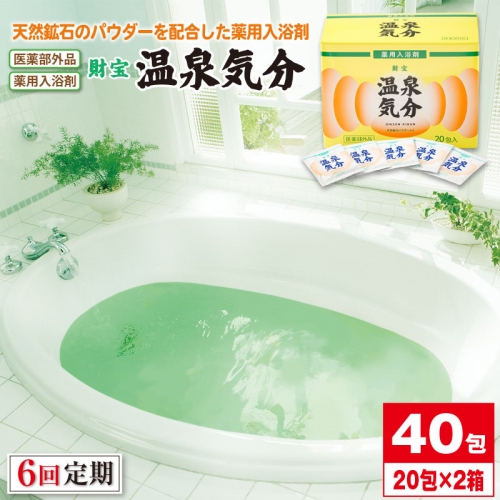 C3-2286/【6回定期】薬用入浴剤 温泉気分 40包 自宅で温泉気分! 677420 - 鹿児島県垂水市