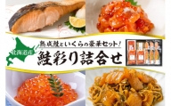 鮭乃丸亀　北海道産の熟成鮭といくらの豪華セット！ 鮭彩り詰合せ