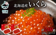 【小分けで便利！】北海道産いくら 240g（120g×2パック）しょうゆ漬け 丸鮮道場水産 小分け 食べきり いくら丼 手巻き寿司 小分け 送料無料