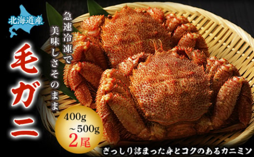 北海道 稚内産 毛ガニ 2尾セット ( 400g ～ 500g × 2尾 ) ボイル済み 毛ガニ 毛がに 毛蟹 かに カニ 蟹 冷凍 ギフト プレゼント 贈り物 お中元 送料無料 【1136533】