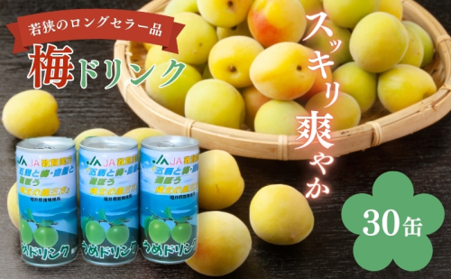 梅ドリンク　1ケース30缶 加工食品 ジュース うめ ウメ  67963 - 福井県若狭町