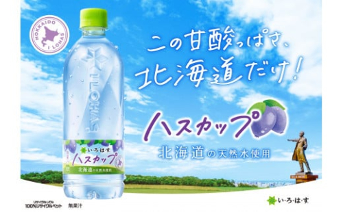 い・ろ・は・す ハスカップ 540ml PET×48本 いろはす 北海道限定 フレーバー ミネラルウォーター 飲料水 ローカロリー ペットボトル 計48本 水 飲料 札幌工場製造 札幌市