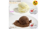 ＜ 業務用 ＞ 稚内牛乳 アイスクリーム 2L×2個 ( バニラ & チョコレート )珍味ホッケ燻製【1308061】