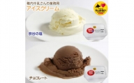 ＜ 業務用 ＞ 稚内牛乳 アイスクリーム 2L×2個 ( 宗谷の塩 & チョコレート ) と 珍味【1308062】
