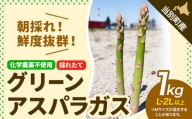 [1.3-224]　北海道当別町産化学農薬不使用採れたてグリーンアスパラガス1kg M～2Lサイズ混合