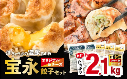 宝永オリジナル＆チーズ餃子セット【宝永餃子 500g×2袋・チーズ餃子 375g×3袋】　T004-002