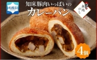 熨斗 知床豚肉いっぱいのカレーパン 4個 カレーパン 北海道 札幌市