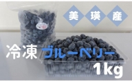 びえいハスカップファーム 美瑛産冷凍ブルーベリー1kg[015-77]
