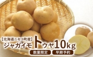 【北海道ニセコ町産】ジャガイモ　とうや　10kg　＜数量限定・2024年早期予約・9月末より出荷予定＞【0202601】